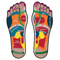 Reflexology Foot Metrics